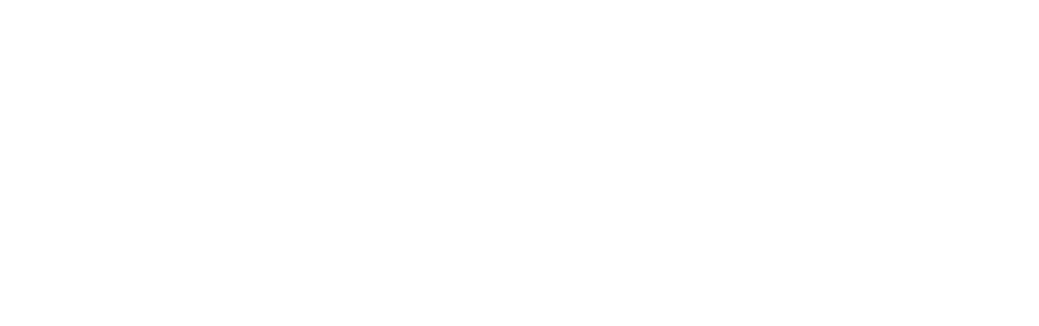 EM:EM Wellness