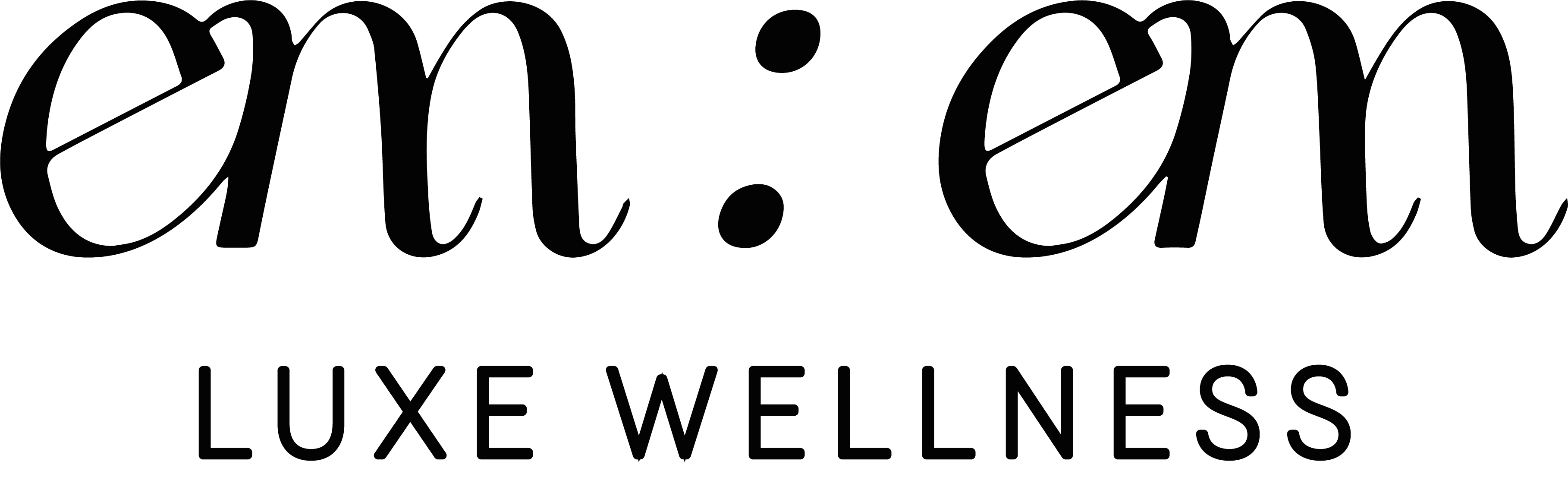 EM:EM Wellness